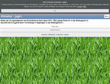 Tablet Screenshot of jugend-fcdonauried.de